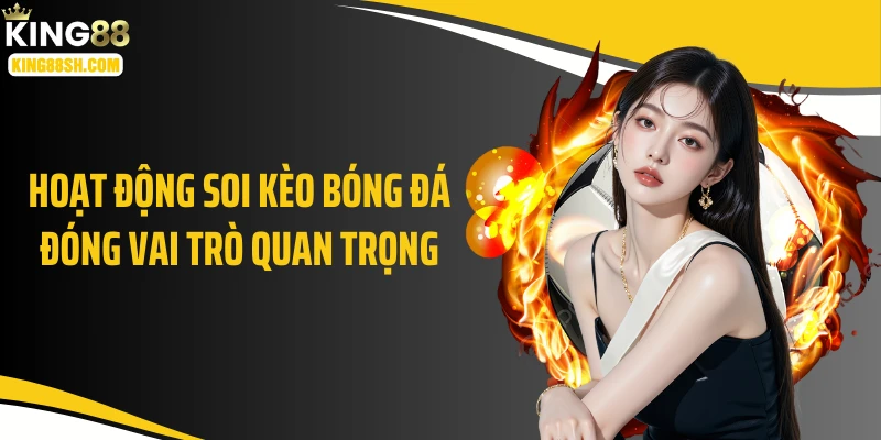 Hoạt động soi kèo bóng đá đóng vai trò quan trọng