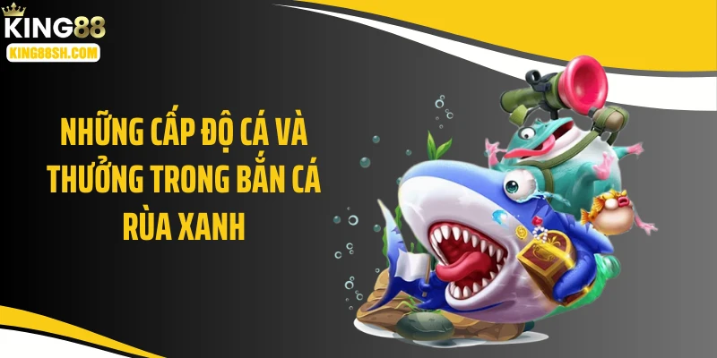 Những cấp độ cá và thưởng trong bắn cá rùa xanh